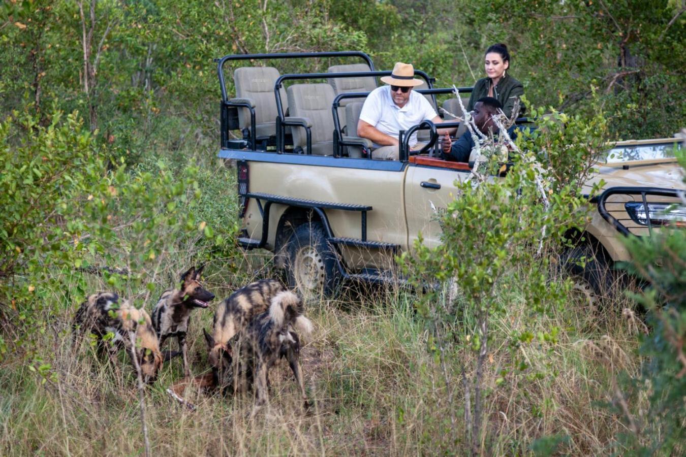 Leopard Hills Private Game Reserve Sabi Sand Game Reserve Eksteriør billede