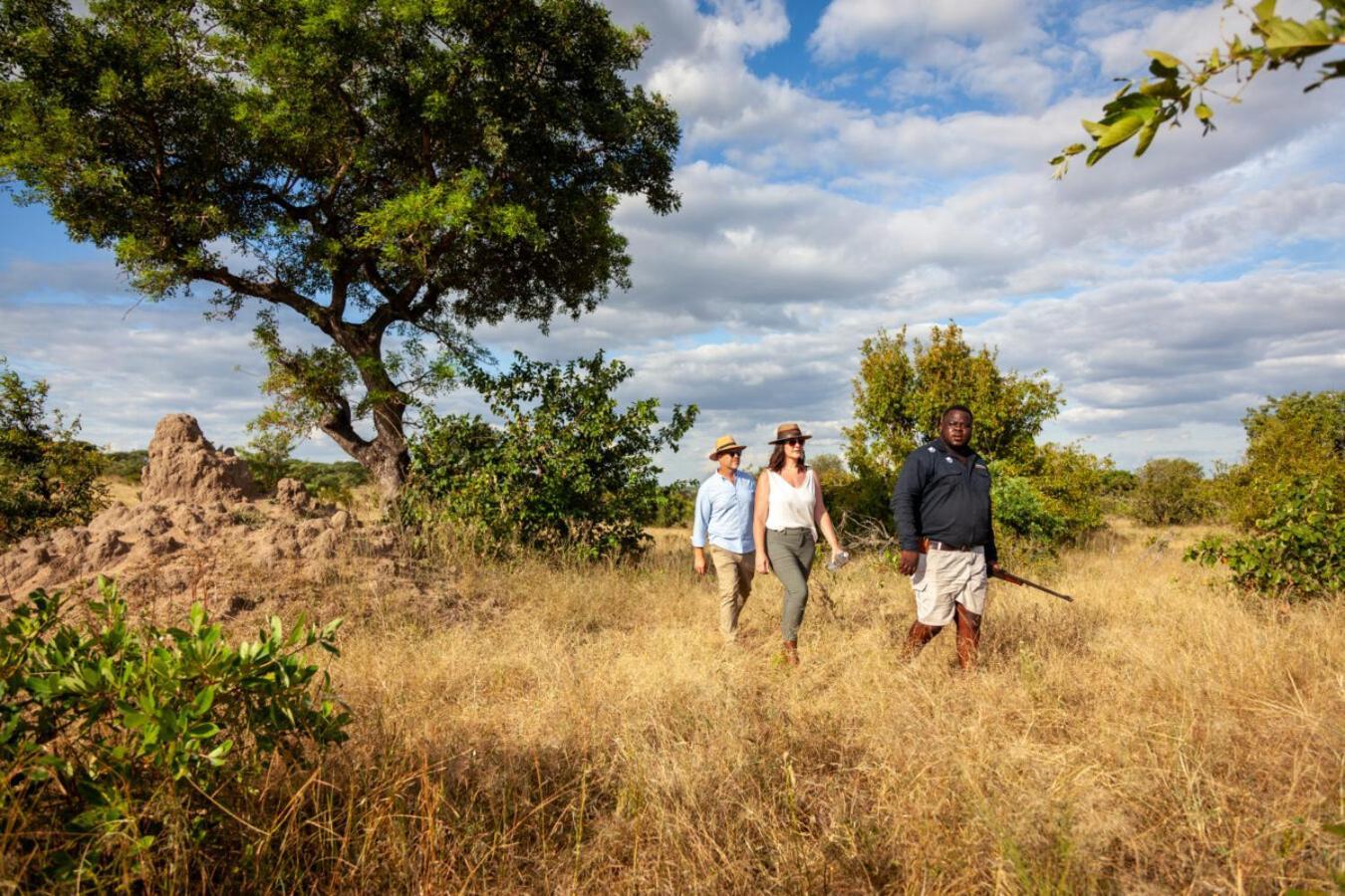 Leopard Hills Private Game Reserve Sabi Sand Game Reserve Eksteriør billede