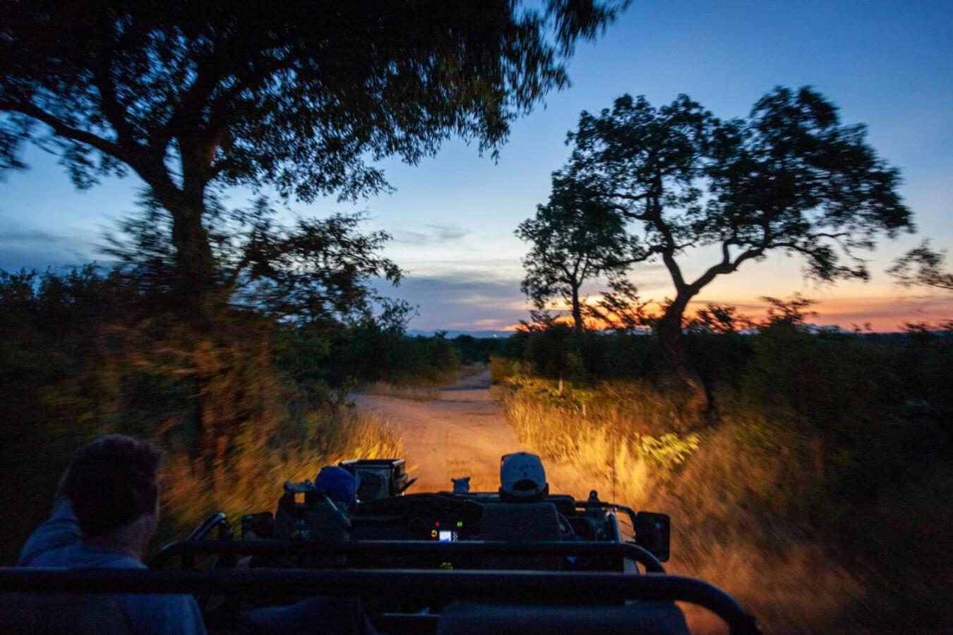 Leopard Hills Private Game Reserve Sabi Sand Game Reserve Eksteriør billede