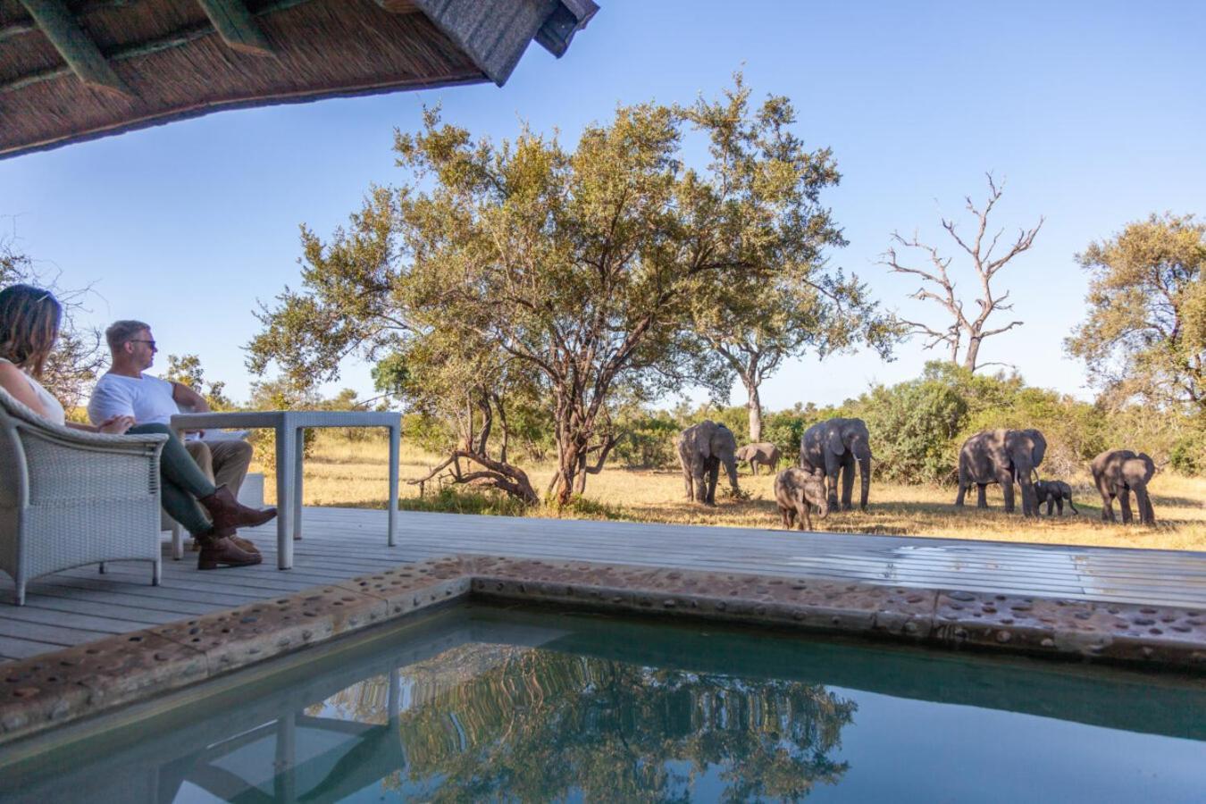 Leopard Hills Private Game Reserve Sabi Sand Game Reserve Eksteriør billede