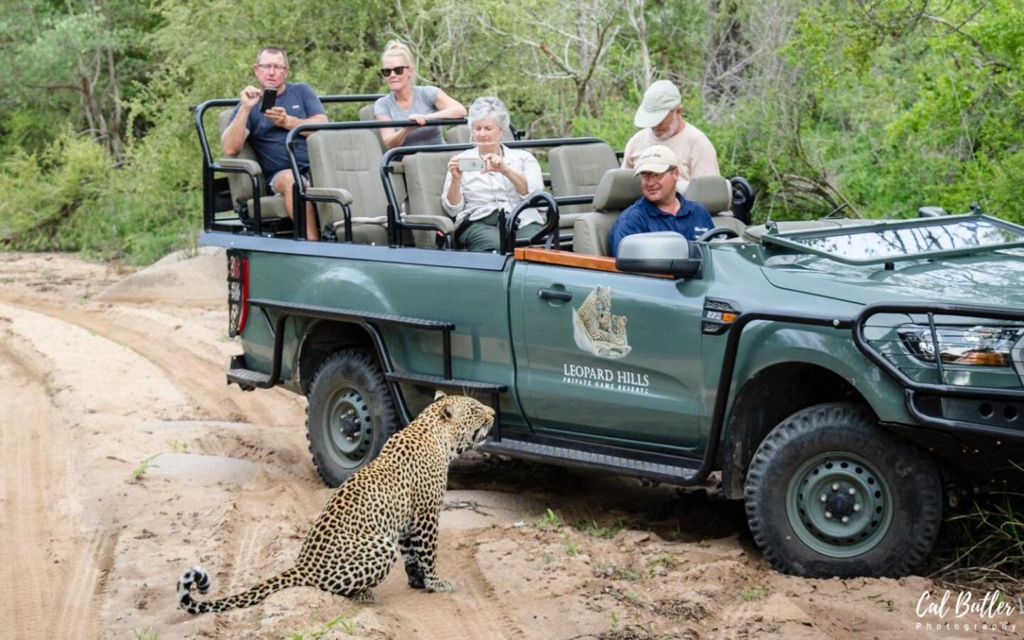 Leopard Hills Private Game Reserve Sabi Sand Game Reserve Eksteriør billede